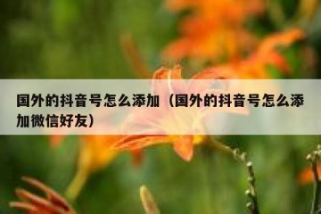 国外的抖音号怎么添加（国外的抖音号怎么添加微信好友）