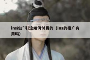 ins推广引流如何付费的（ins的推广有用吗）