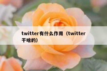 twitter有什么作用（twitter干啥的）