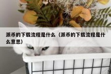 派币的下载流程是什么（派币的下载流程是什么意思）