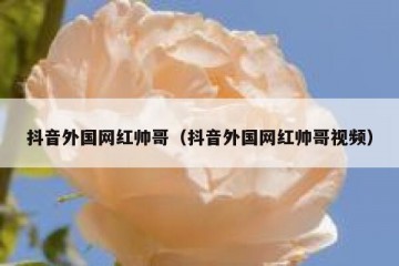 抖音外国网红帅哥（抖音外国网红帅哥视频）