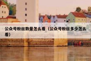 公众号粉丝数量怎么看（公众号粉丝多少怎么看）