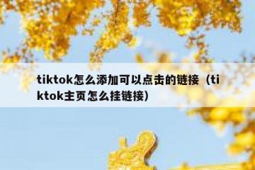 tiktok怎么添加可以点击的链接（tiktok主页怎么挂链接）