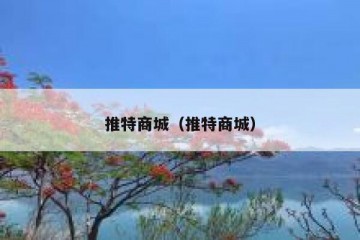 推特商城（推特商城）
