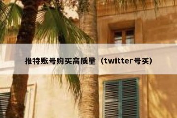 推特账号购买高质量（twitter号买）