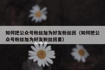 如何把公众号粉丝加为好友粉丝团（如何把公众号粉丝加为好友粉丝团里）