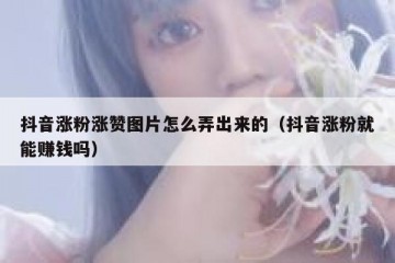 抖音涨粉涨赞图片怎么弄出来的（抖音涨粉就能赚钱吗）