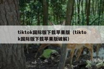 tiktok国际版下载苹果版（tiktok国际版下载苹果版破解）