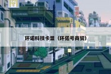 环诺科技卡盟（环偌号商贸）