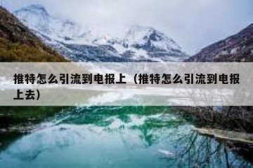 推特怎么引流到电报上（推特怎么引流到电报上去）