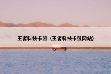 王者科技卡盟（王者科技卡盟网站）