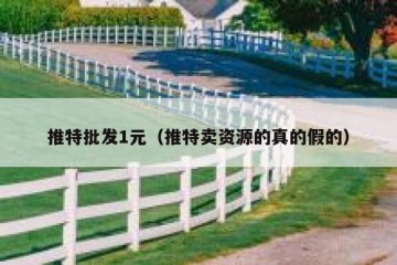 推特批发1元（推特卖资源的真的假的）
