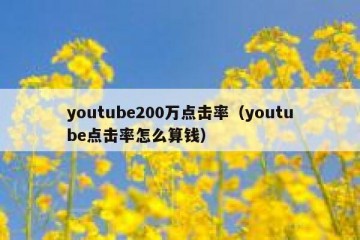 youtube200万点击率（youtube点击率怎么算钱）
