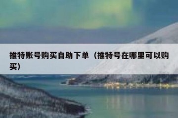 推特账号购买自助下单（推特号在哪里可以购买）