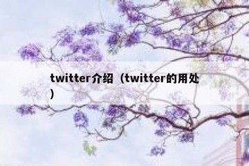 twitter介绍（twitter的用处）