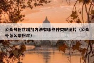 公众号粉丝增加方法有哪些种类呢图片（公众号怎么增粉丝）