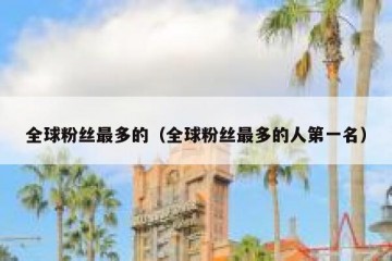 全球粉丝最多的（全球粉丝最多的人第一名）