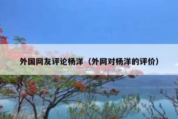 外国网友评论杨洋（外网对杨洋的评价）