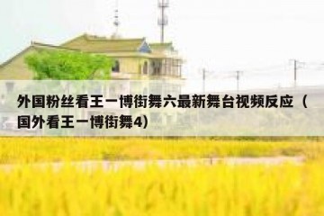 外国粉丝看王一博街舞六最新舞台视频反应（国外看王一博街舞4）