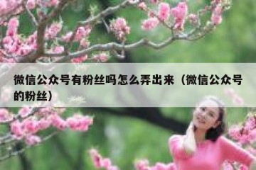 微信公众号有粉丝吗怎么弄出来（微信公众号的粉丝）