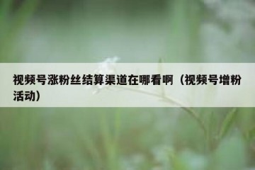 视频号涨粉丝结算渠道在哪看啊（视频号增粉活动）
