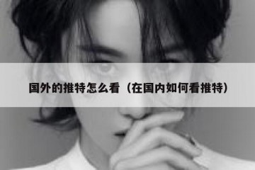 国外的推特怎么看（在国内如何看推特）