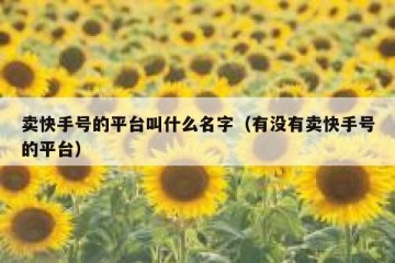 卖快手号的平台叫什么名字（有没有卖快手号的平台）