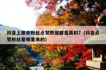 抖音上那些粉丝点赞数据都是真的?（抖音点赞粉丝量哪里来的）