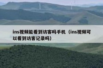 ins视频能看到访客吗手机（ins视频可以看到访客记录吗）