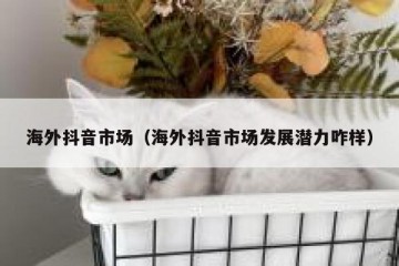 海外抖音市场（海外抖音市场发展潜力咋样）