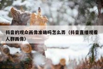 抖音的观众画像准确吗怎么弄（抖音直播观看人群画像）