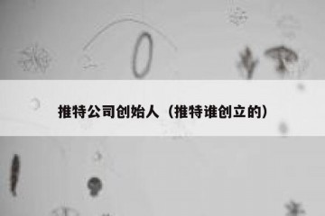 推特公司创始人（推特谁创立的）