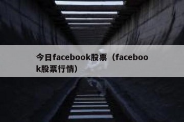 今日facebook股票（facebook股票行情）