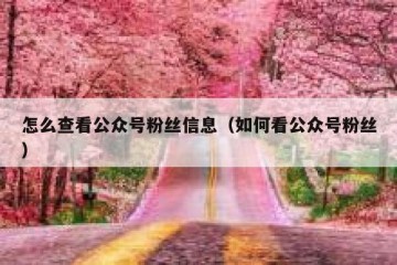 怎么查看公众号粉丝信息（如何看公众号粉丝）