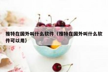推特在国外叫什么软件（推特在国外叫什么软件可以用）