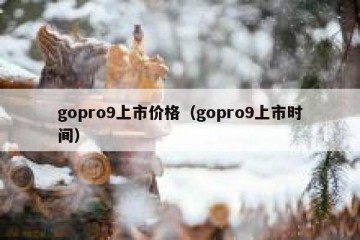 gopro9上市价格（gopro9上市时间）