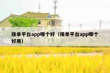 接单平台app哪个好（接单平台app哪个好用）
