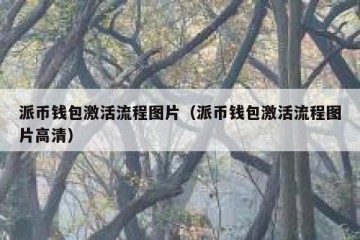 派币钱包激活流程图片（派币钱包激活流程图片高清）