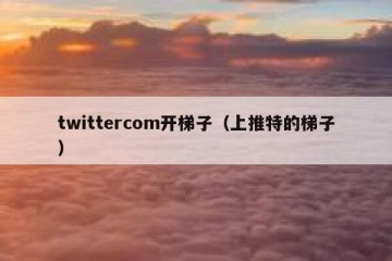twittercom开梯子（上推特的梯子）