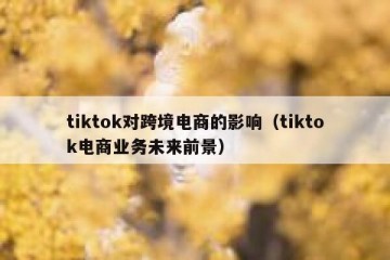 tiktok对跨境电商的影响（tiktok电商业务未来前景）