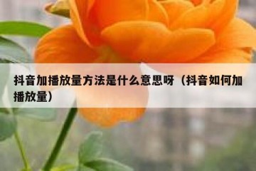 抖音加播放量方法是什么意思呀（抖音如何加播放量）