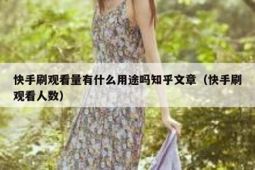 快手刷观看量有什么用途吗知乎文章（快手刷观看人数）