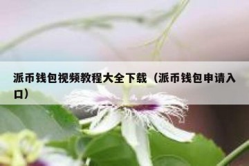 派币钱包视频教程大全下载（派币钱包申请入口）