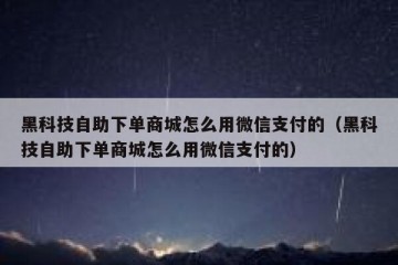 黑科技自助下单商城怎么用微信支付的（黑科技自助下单商城怎么用微信支付的）
