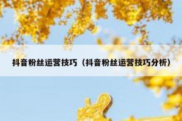 抖音粉丝运营技巧（抖音粉丝运营技巧分析）