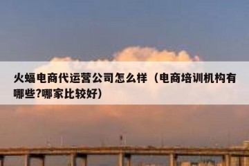 火蝠电商代运营公司怎么样（电商培训机构有哪些?哪家比较好）