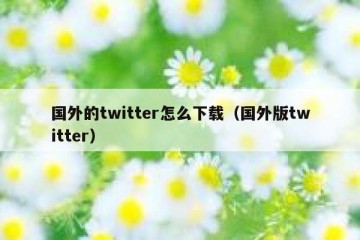 国外的twitter怎么下载（国外版twitter）