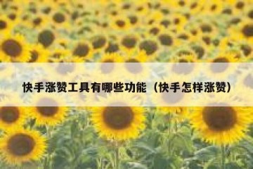 快手涨赞工具有哪些功能（快手怎样涨赞）