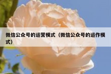 微信公众号的运营模式（微信公众号的运作模式）