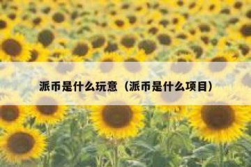 派币是什么玩意（派币是什么项目）